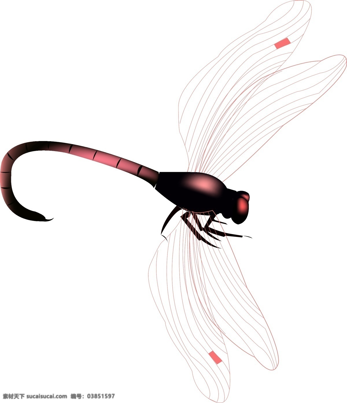 唯美 飞舞 黑色 蜻蜓 特别 翅膀 漂亮