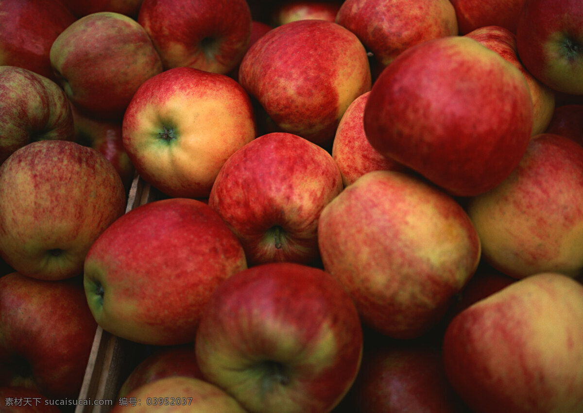 苹果 红苹果 超市 水果 果子 生物世界 水果图片 水果素材 健康水果 新鲜水果 摄影图片 苹果图片 餐饮美食