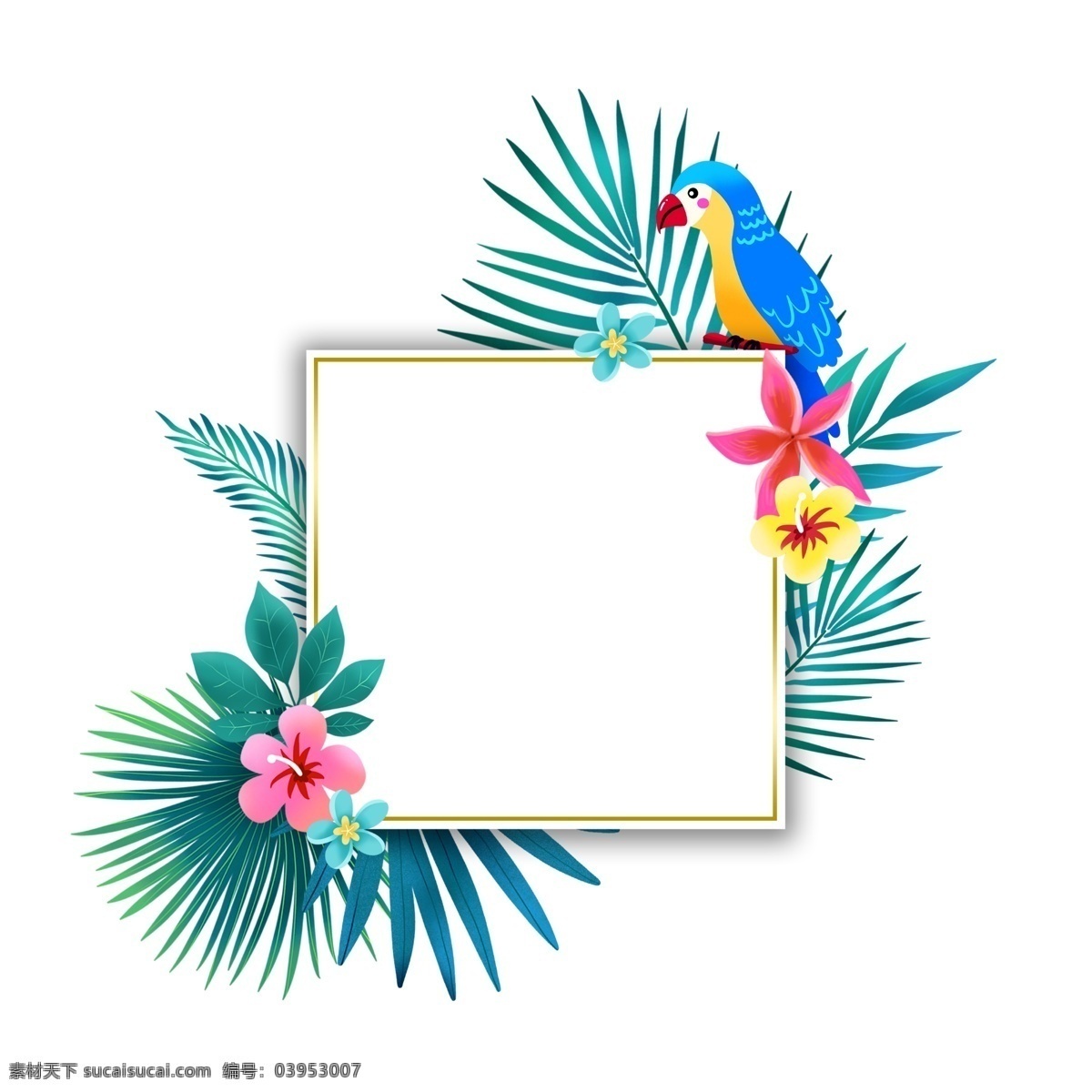 夏季 热带 植物 鹦鹉 边框 夏天 春夏 花朵 度假 叶子 绿色 蓝色鹦鹉