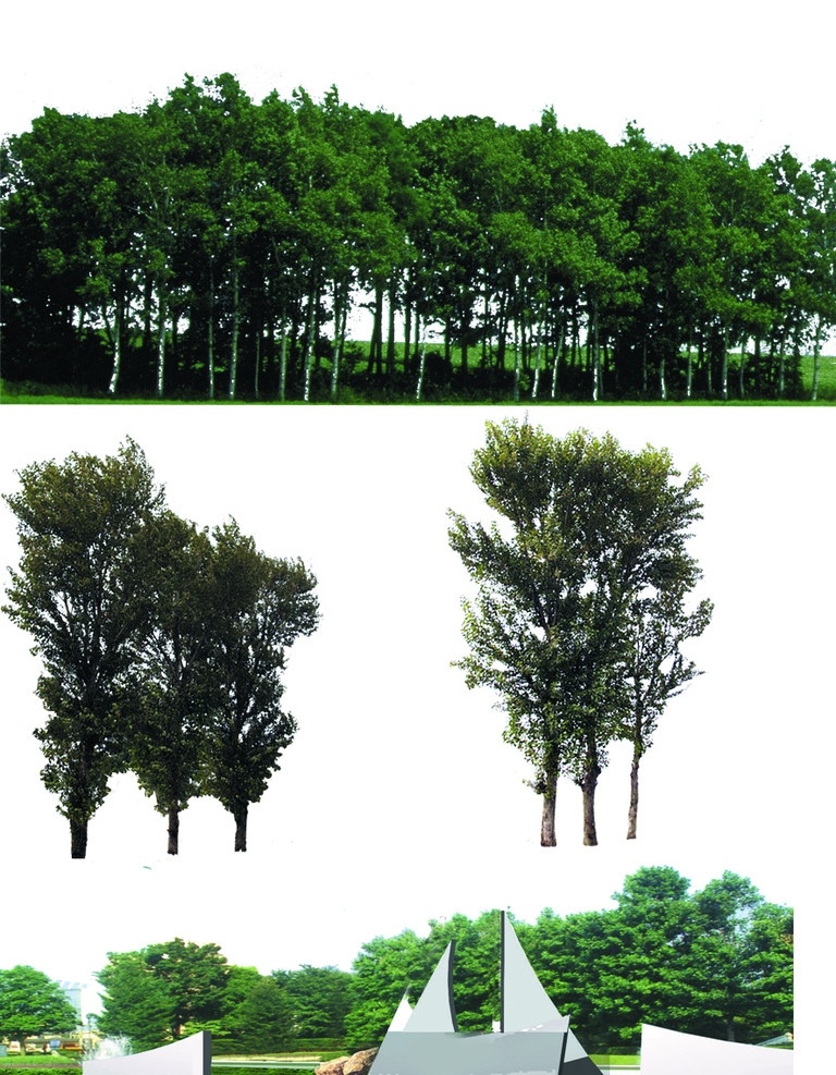 配景树木 树木 植物 绿化 景观 园林 ps后期素材 ps后期配景 风景 分层 源文件