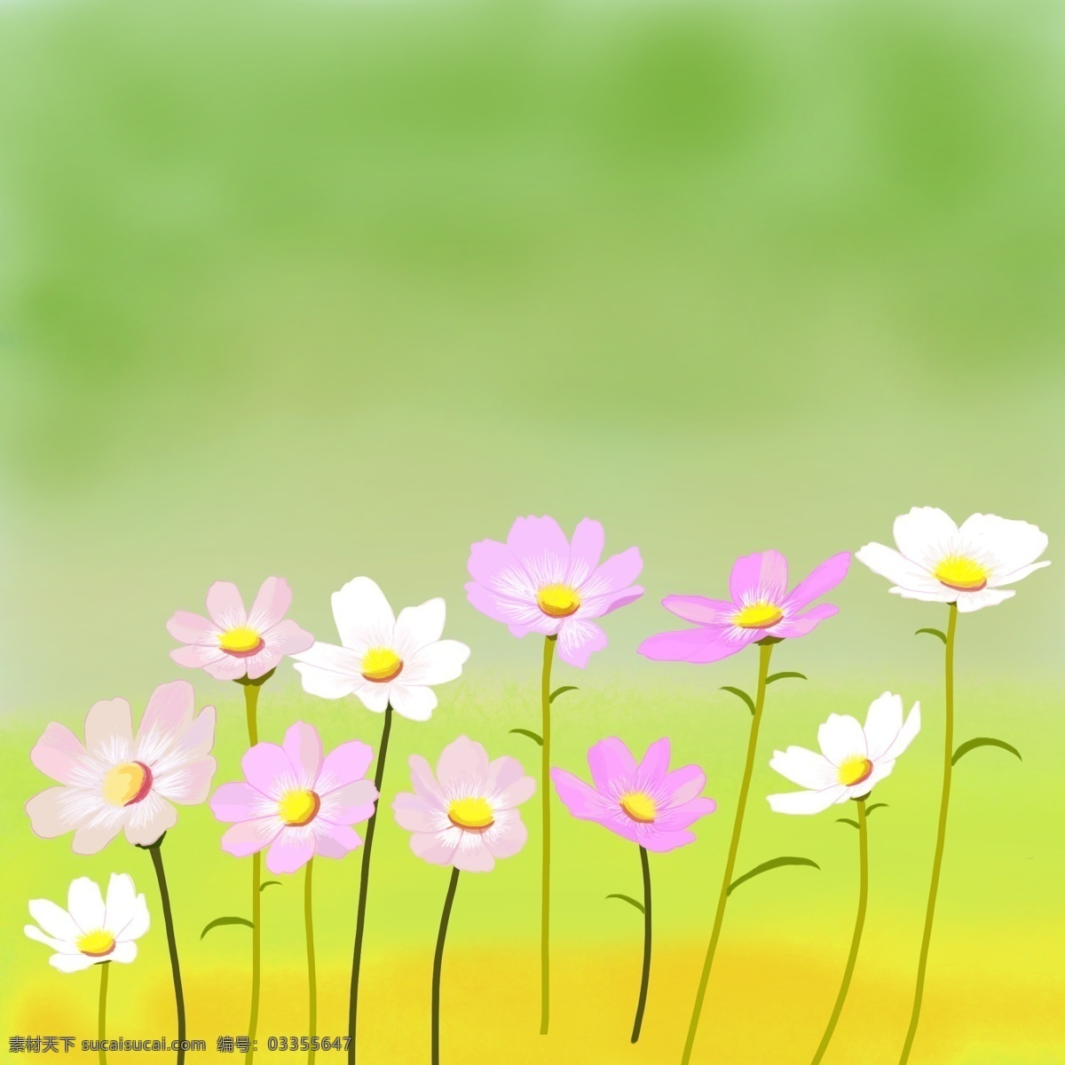 草地 上 开 满 格桑 花 格桑花 鲜花 小花 春天 绿色 白色花 紫色花 黄色花蕊 插画 手绘 草原 叶子
