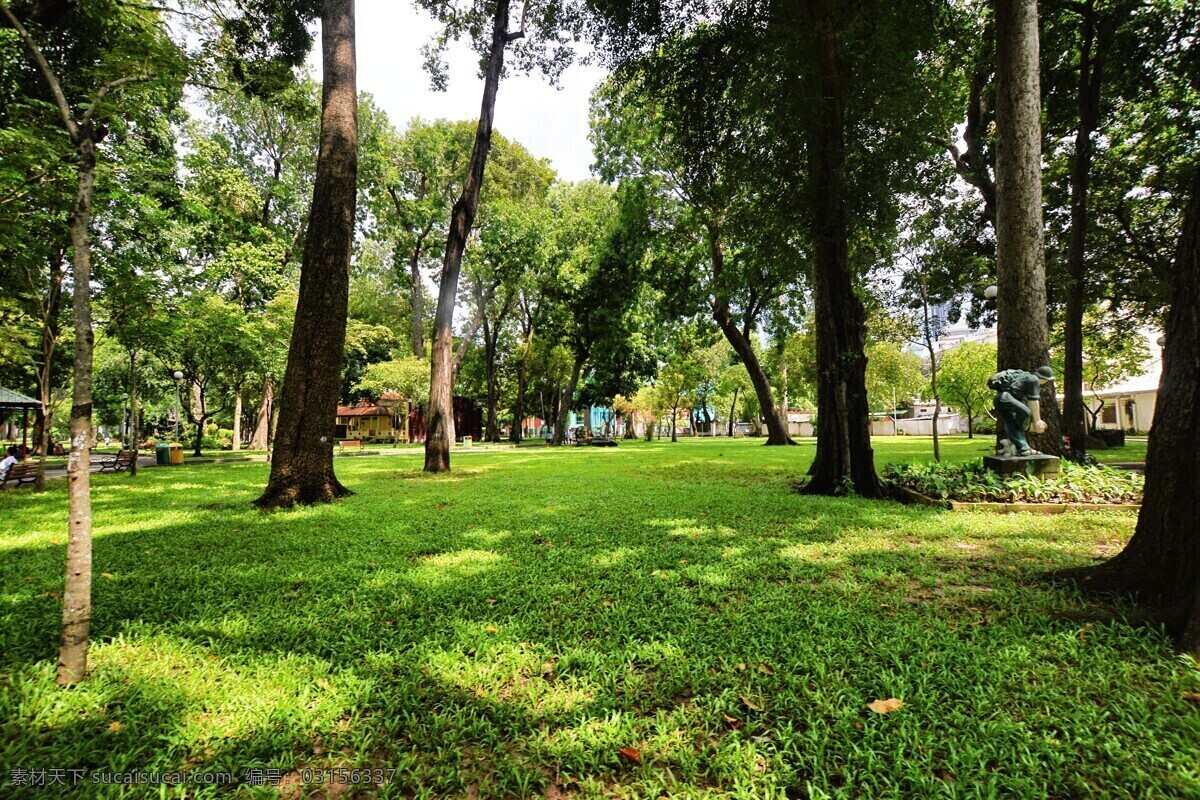 胡志明市 tao dan park 陶丹公园 植物园 公园 大树 草坪 森林 旅游摄影 国外旅游