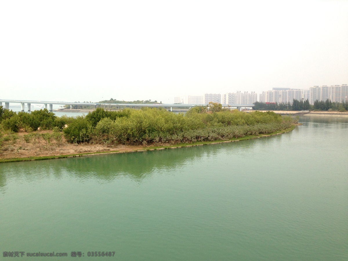 房屋 高楼 海 海边 海水 海滩 旅游摄影 桥梁 厦门五缘湾 五缘湾海边 五缘湾 厦门 树叶 梯子 自然风景 psd源文件