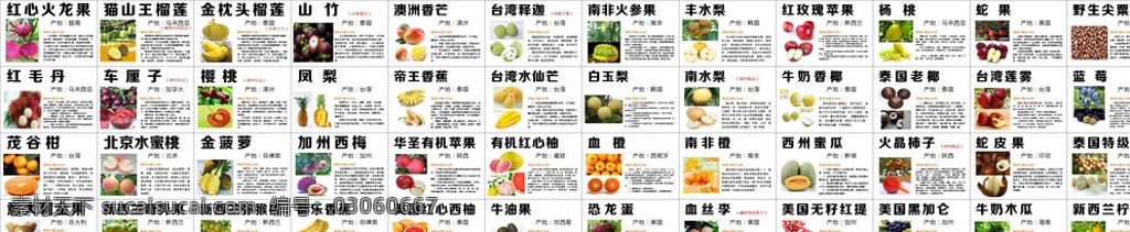 水果标签 标签 水果 进口水果 各种水果 水果功效 水果疗效 水果的营养 水果的价值 水果产地 矢量 共享图 白色