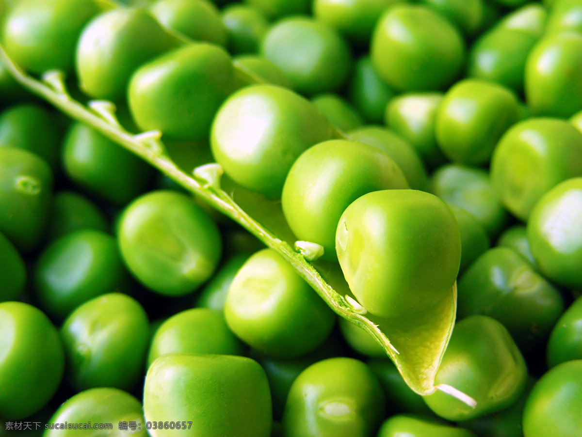 豌豆 豌豆背景 豆角 新鲜蔬菜 蔬菜摄影 绿色蔬菜 水果蔬菜 蔬菜图片 餐饮美食