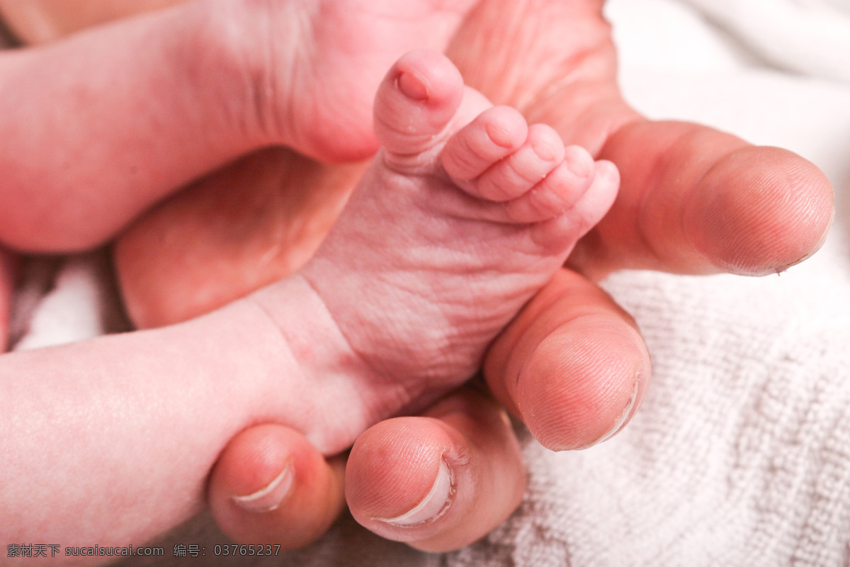 新生儿 小脚 婴儿的脚 小脚丫 宝宝的脚 小孩子 小脚板 手捧着 手势 呵护 婴幼儿 人体器官图 人物图片