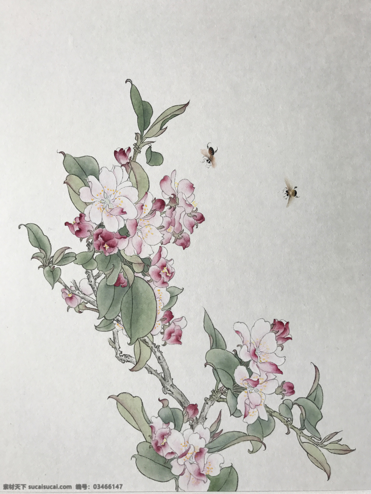 国画工笔花卉 国画 工笔 手绘 花卉 蜜蜂 文化艺术 美术绘画