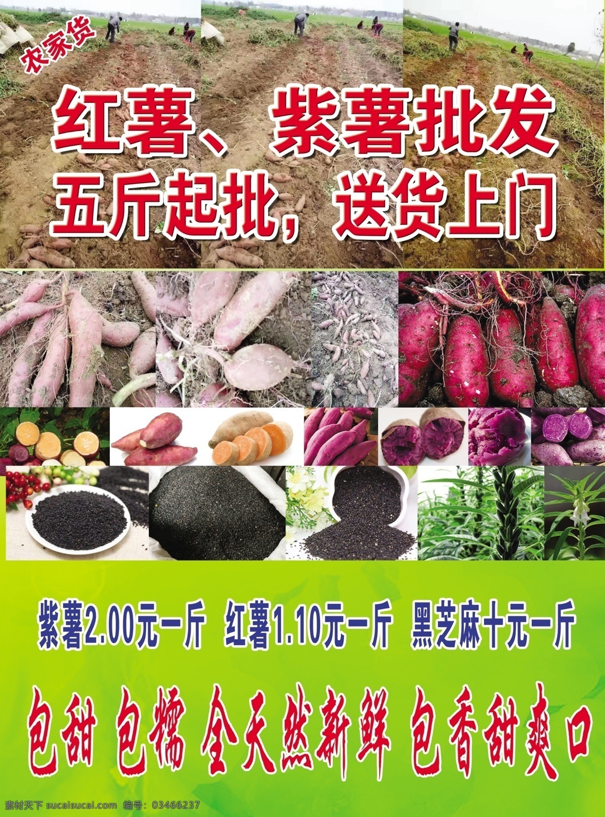 红薯 紫薯 瓜 紫 薯 黑 芝 麻 分层