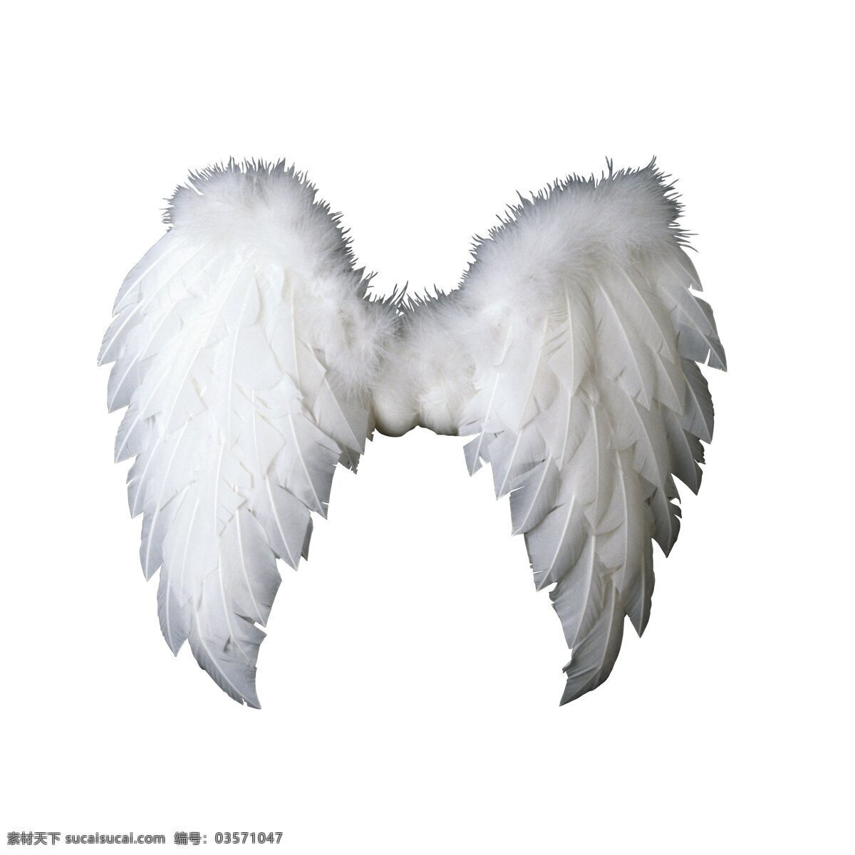 翅膀 鸟类 摄影图库 生物世界 天使 天使的翅膀 信仰 羽毛 宗教 psd源文件