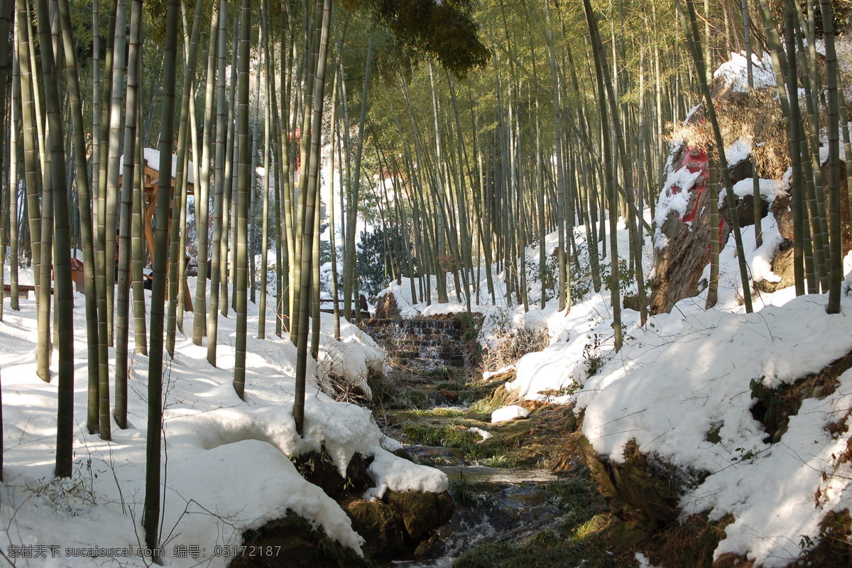 南山 溪流 小溪 雪景 竹 竹海 竹子 竹海雪景 fenghc 自然篇 自然风景 自然景观 矢量图 日常生活