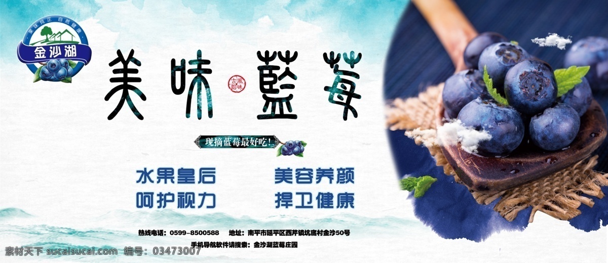 蓝莓 采摘 门口 宣传 横 版 蓝莓采摘 蓝莓宣传 蓝莓喷绘 采摘园宣传 分层