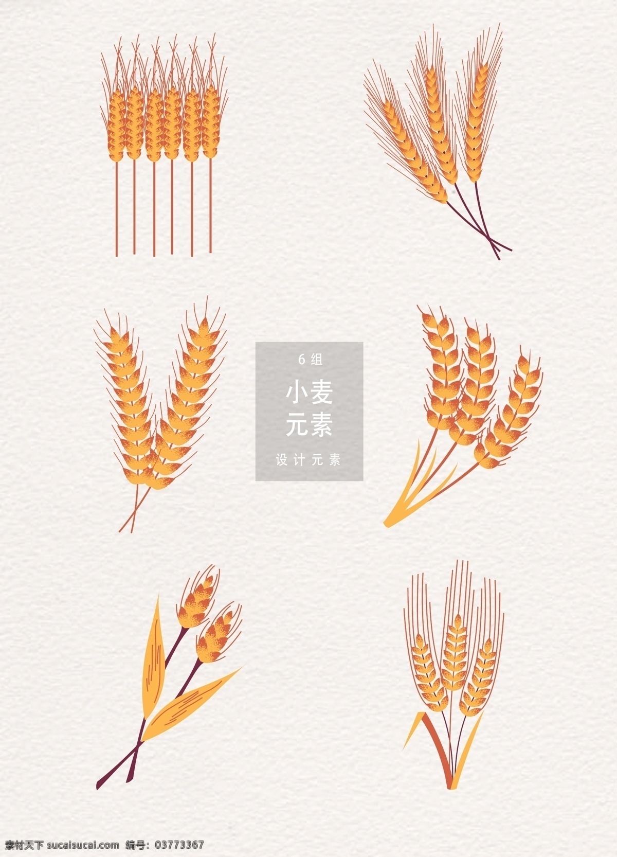 小麦 矢量 设计元素 植物 麦穗 五谷 小满 二十四节气 传统节气 谷物 麦子 ai素材