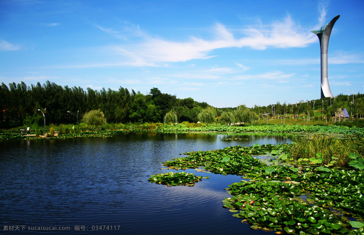 沈阳 沈阳百合塔 园艺博览会 沈阳旅游 沈阳风光 辽宁沈阳 百合塔 旅游摄影 国内旅游