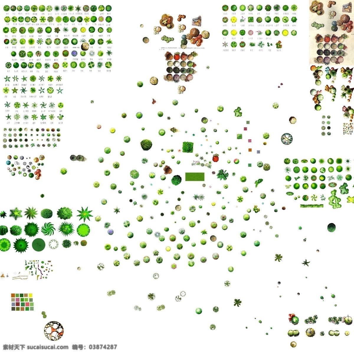 平面树 水彩平面树 手绘平面树 水彩灌木 水彩草地 手绘灌木 手绘草地 平面树合集 小区 景观设计 环境设计 源文件
