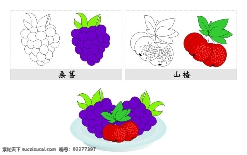 水果简笔画 桑葚 山楂 水果盘 儿童简笔画 儿童画 卡通画 矢量素材 简图