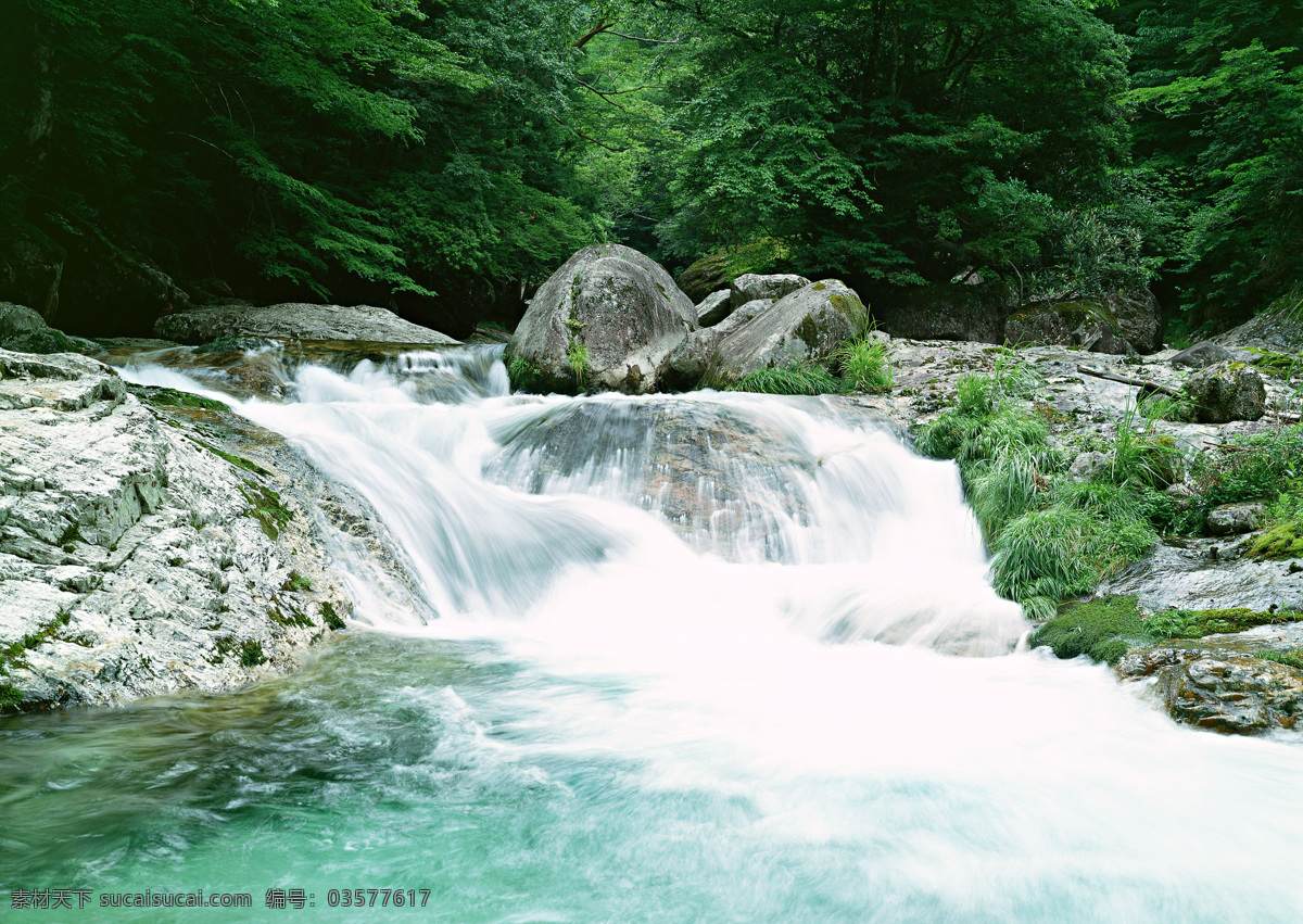 树免费下载 风景 山水风景 摄影图 树 植物 自然景观 水 家居装饰素材 山水风景画