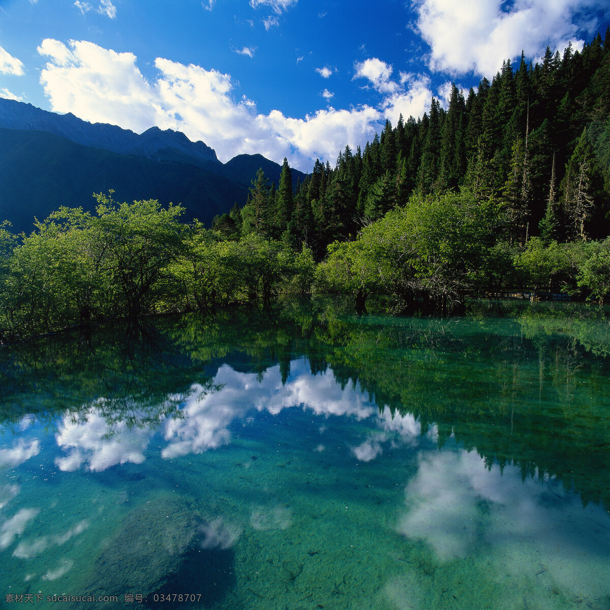 山水树画 绿树 山水画 蓝天 白云 湖水 小树 小山 倒影 山水风景 自然景观