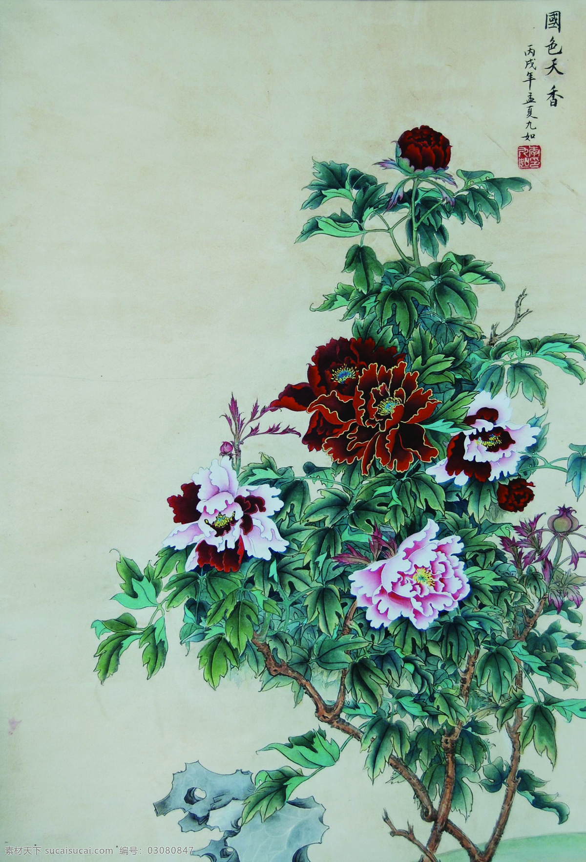 国色天香 红 绘画 绘画书法 牡丹 树叶 文化艺术 白 岩石 中国画 印章 装饰素材 雕刻 图案