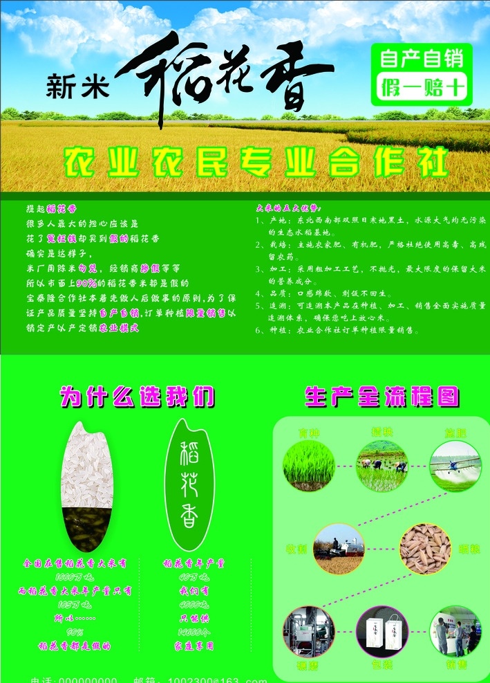 稻花香大米 稻花香 大米 广告 稻米 生产大米工程 绿色海报 单页 模板设计