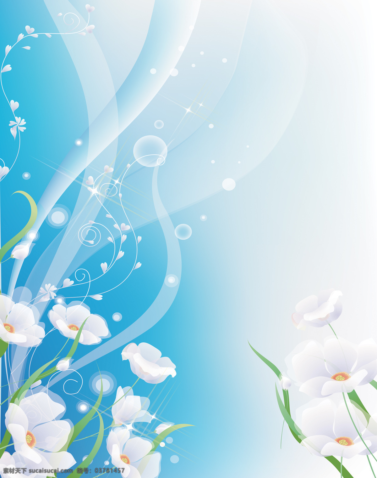 白色 花瓣 白色花瓣 底纹边框