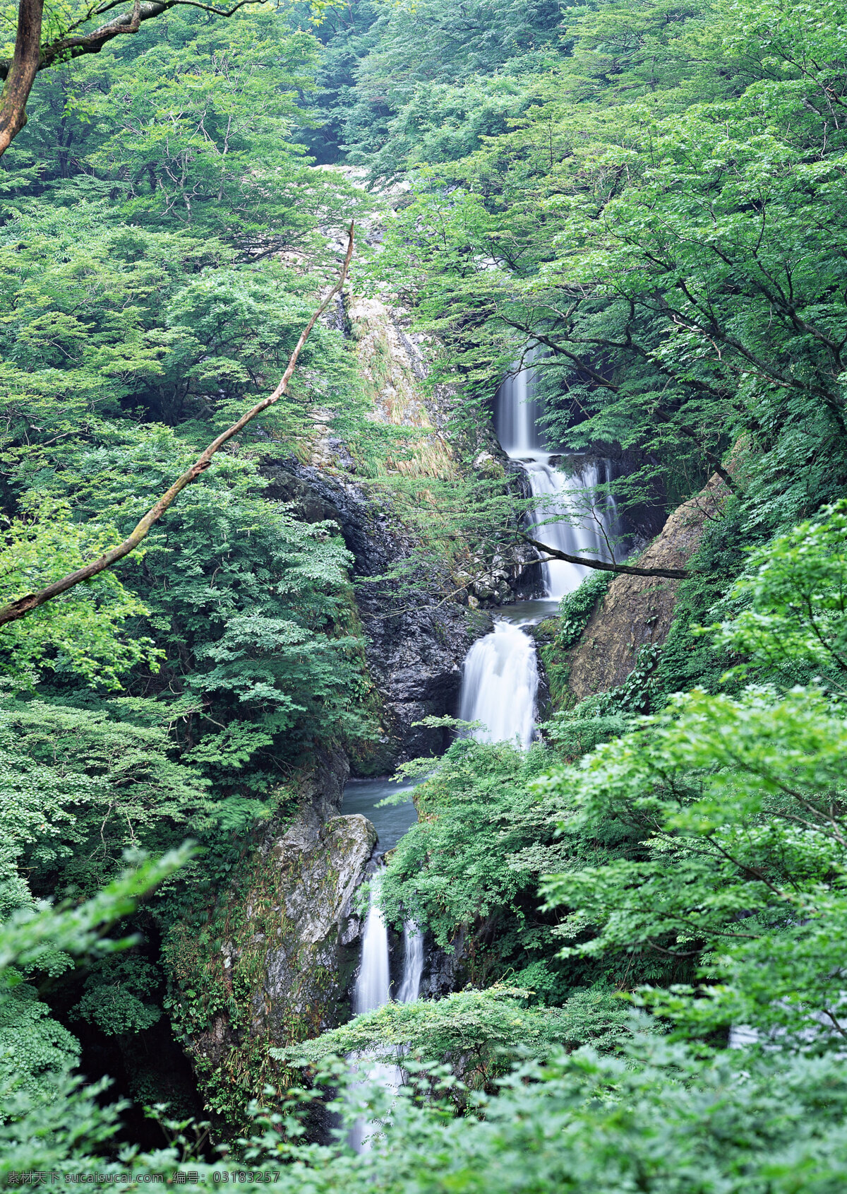 瀑布图片素材 自然 风景 瀑布 水花 水雾 溅出 湍急 急流 岩石 水涧 树林 瀑布图片 风景图片