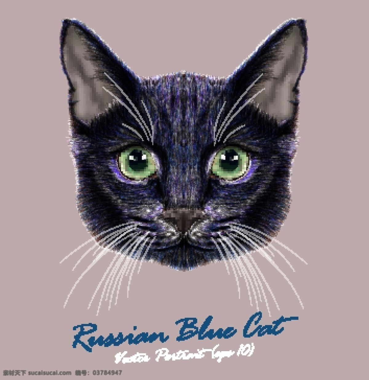 蓝色 猫咪 宠物 猫 头像 品种 矢量 绿色眼睛 名猫 可爱 动物 猫奴 毛绒绒 猫科动物 卡通 水彩 手绘 插画
