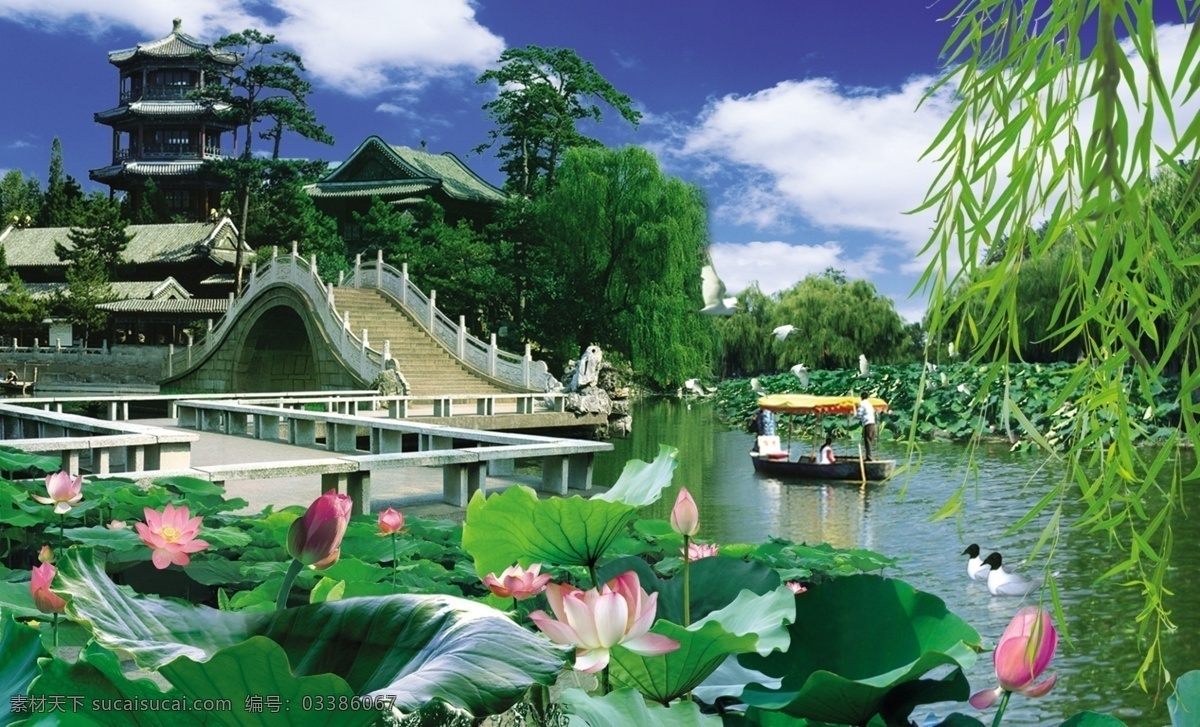 湖光春色 风景画 莲花 亭 船 湖 风景 分层 源文件