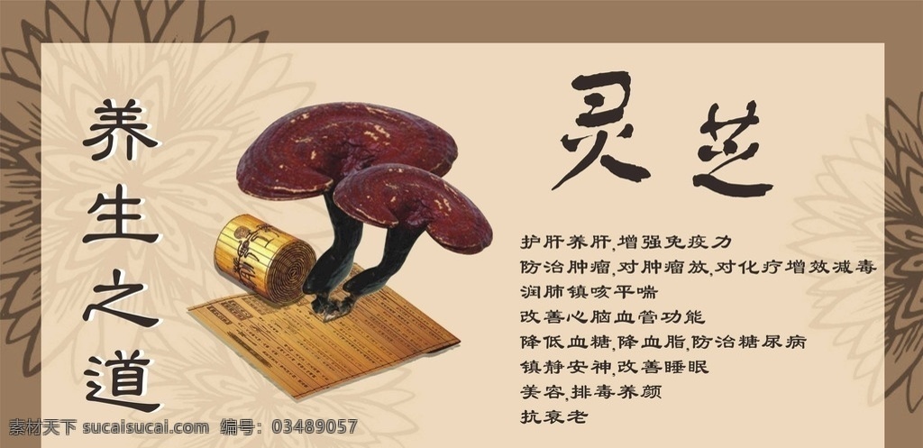 养生之道灵芝 养生 灵芝 褐色 木色 棕色 灵芝介绍 生活百科 医疗保健