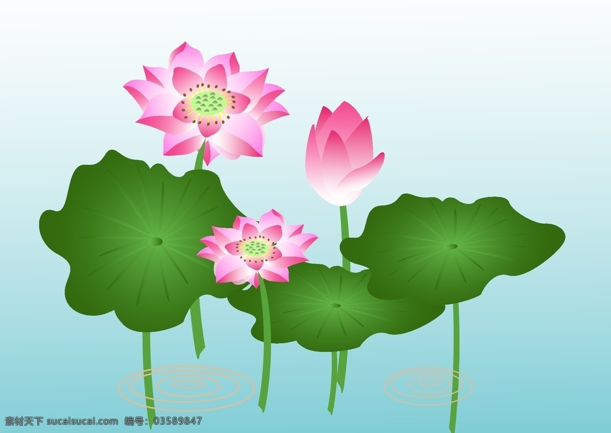 荷花 仙 子荷 中藏 云天 池里 总 现 幽幽 湖水 躺 万山 碧水 接 天 矢量图 其他矢量图