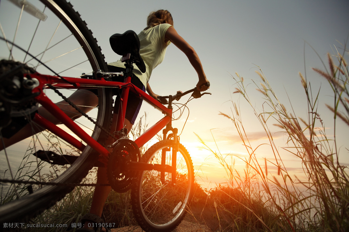 阳光骑行 阳光 骑行 健康 向上 自行车 野外 大自然 落日 芦苇 户外运动 亲近自然 拥抱自然 女性 女人 女性女人 人物图库