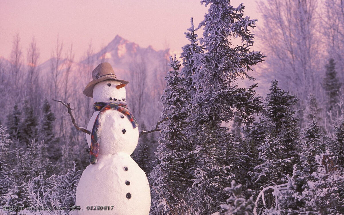 冬季 冬天 户外 雪景 雪球 雪人 雪松 雾凇 背景图片