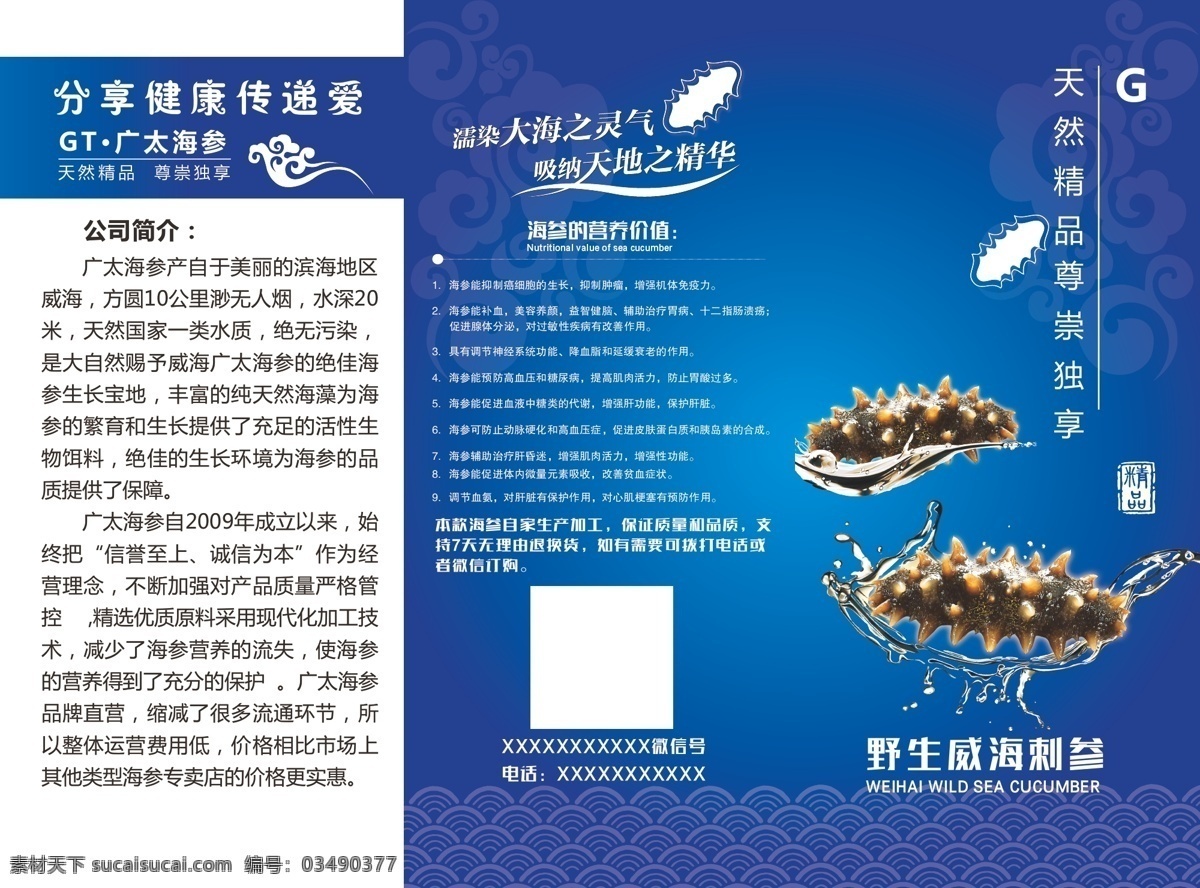 海参三折页 海参宣传页 海参三折彩页 海参荷包折 海参宣传彩页 dm宣传单
