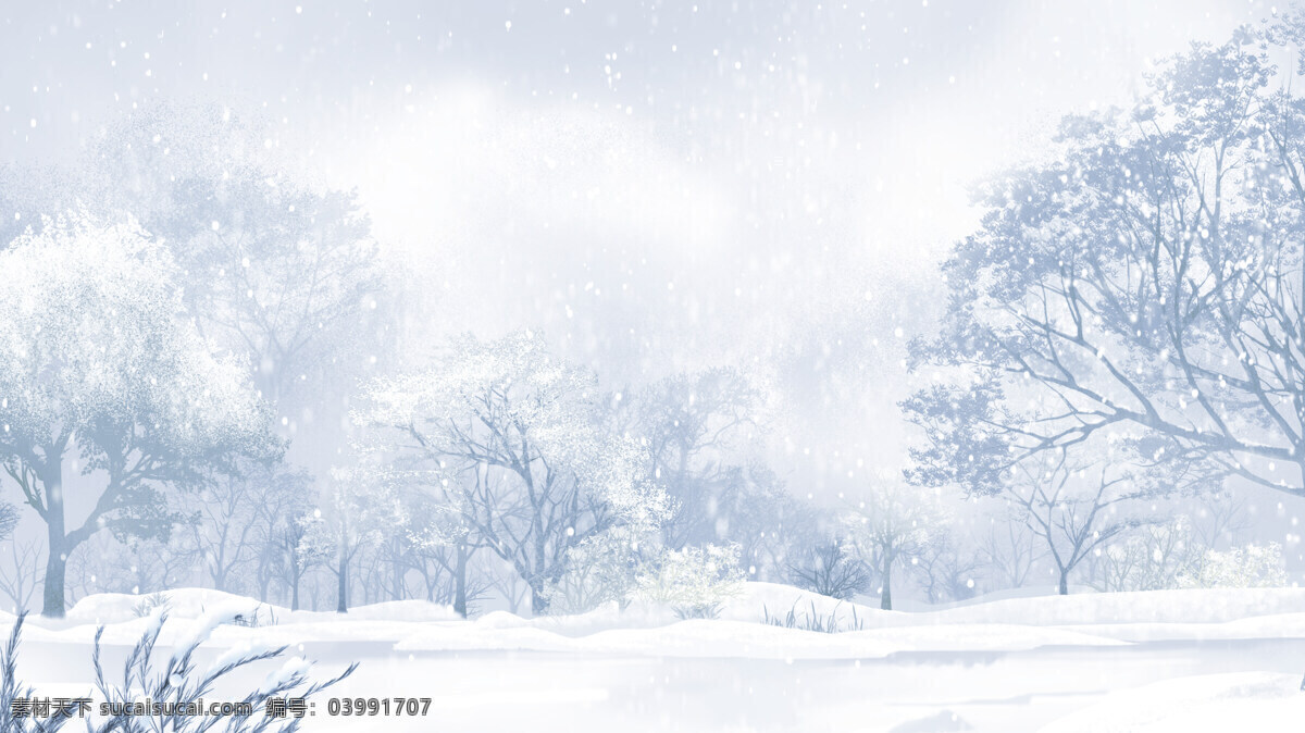 雪雾森林 下雪天 雪花 森林 数木 冬季 自然景观 自然风景
