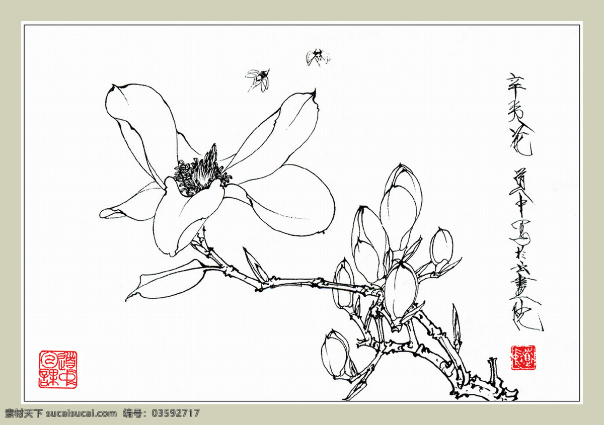 王道中 国画 白描 花卉 辛夷 蜜蜂 印章 文化艺术 绘画书法