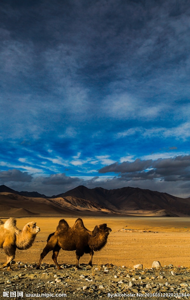 帕米尔高原 精灵 帕米尔 高原 风光 塔什库尔干 慕士塔格峰 绝色 旅游摄影 自然风景