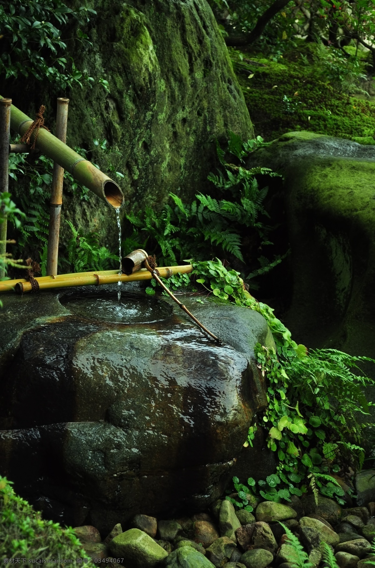 青苔 竹筒 流水 石头 景色 植物绿化 乡下风景 旅游风景 自然景观 自然风景