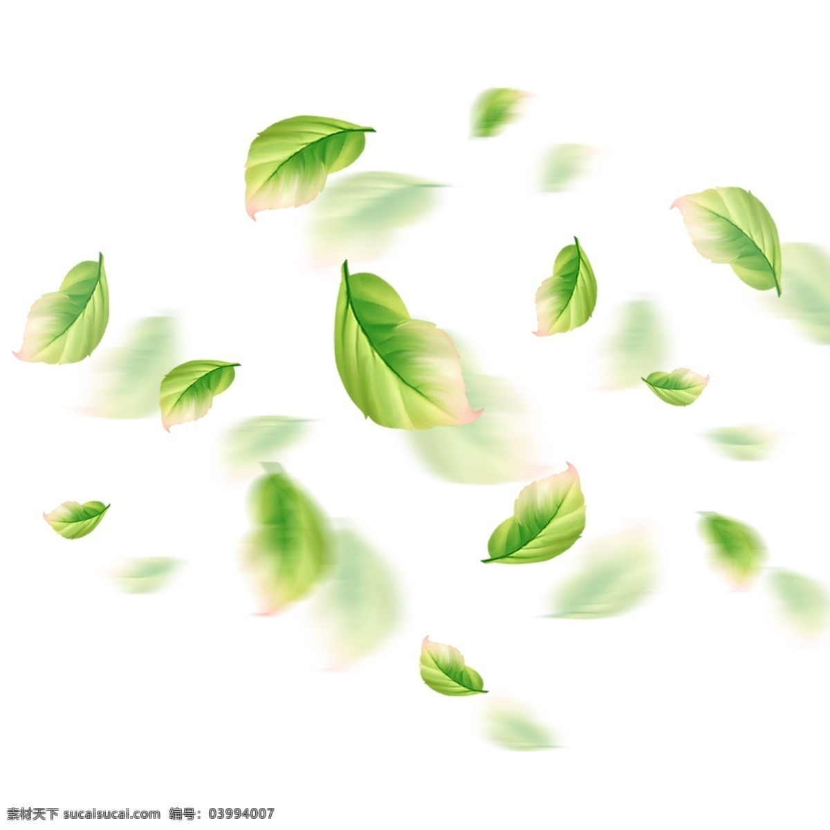 小 清新 漂浮 树叶 免 抠 图案 小清新 树叶漂浮 漂浮图案 树叶免抠 树叶图案