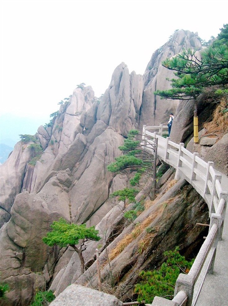 黄山 奇松怪石 安徽 安徽黄山 绿树 树木风景 风景名胜 自然景观