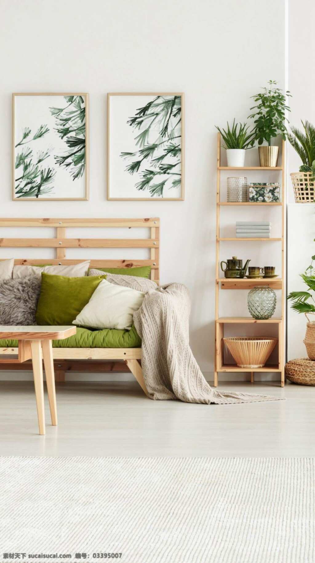 充满 生机 房间 装饰 图 清新的绿植 花盆 绿植图画 木质沙发 洁白的墙壁 生活百科 家居生活
