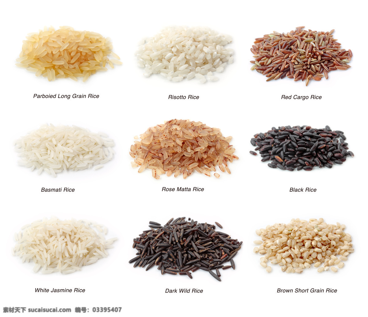 粮食 素材图片 大米 大米素材 大米摄影 大米背景 农作物 摄影图库 食材原料 餐饮美食