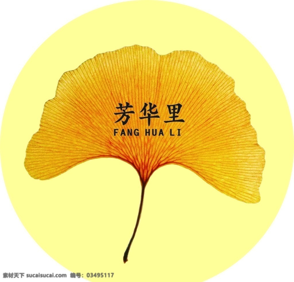 银杏 logo 银杏叶 芳 华 里