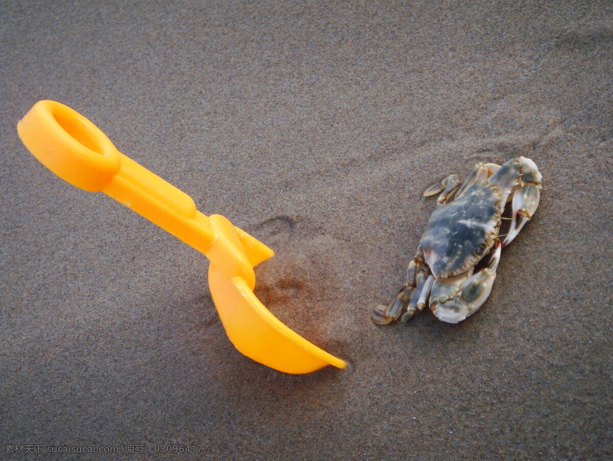 沙滩 上 螃蟹 铲子 海 海滩 黄色 旅游摄影 沙滩上的螃蟹 自然风景 psd源文件