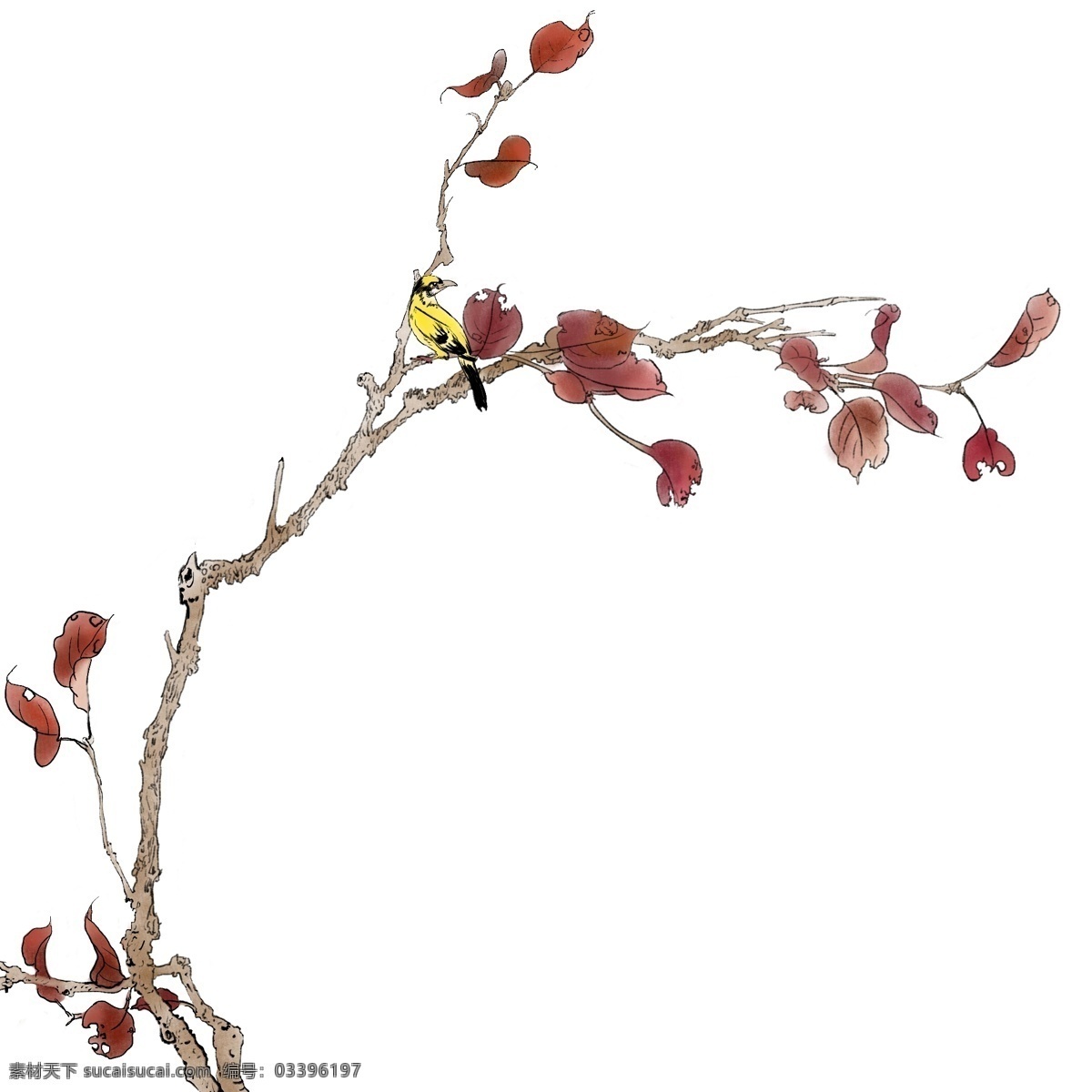 手绘 国画 工笔 唯美 小鸟 花枝 插画 小鸟花枝 花鸟画 传统画 古典画花鸟 清新花鸟画