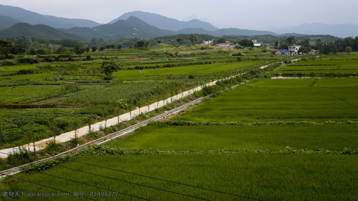 乡村风景 乡村风光 田园风景 田园风光 自然风景 乡村农田 山水风光 山水摄影 旅游风光 森林 山峦 山水田园 树林 生态林 风景画 农村 乡村山村 风景 风光 装饰画 乡村全景 乡村 背景 农庄 花园 美丽乡村 自然景观 党建 乡村振兴 党建相关