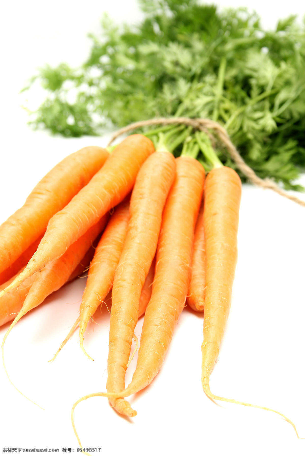 胡萝卜 萝卜 蔬菜 有机蔬菜 绿色蔬菜 农产品 菜篮子 生物世界
