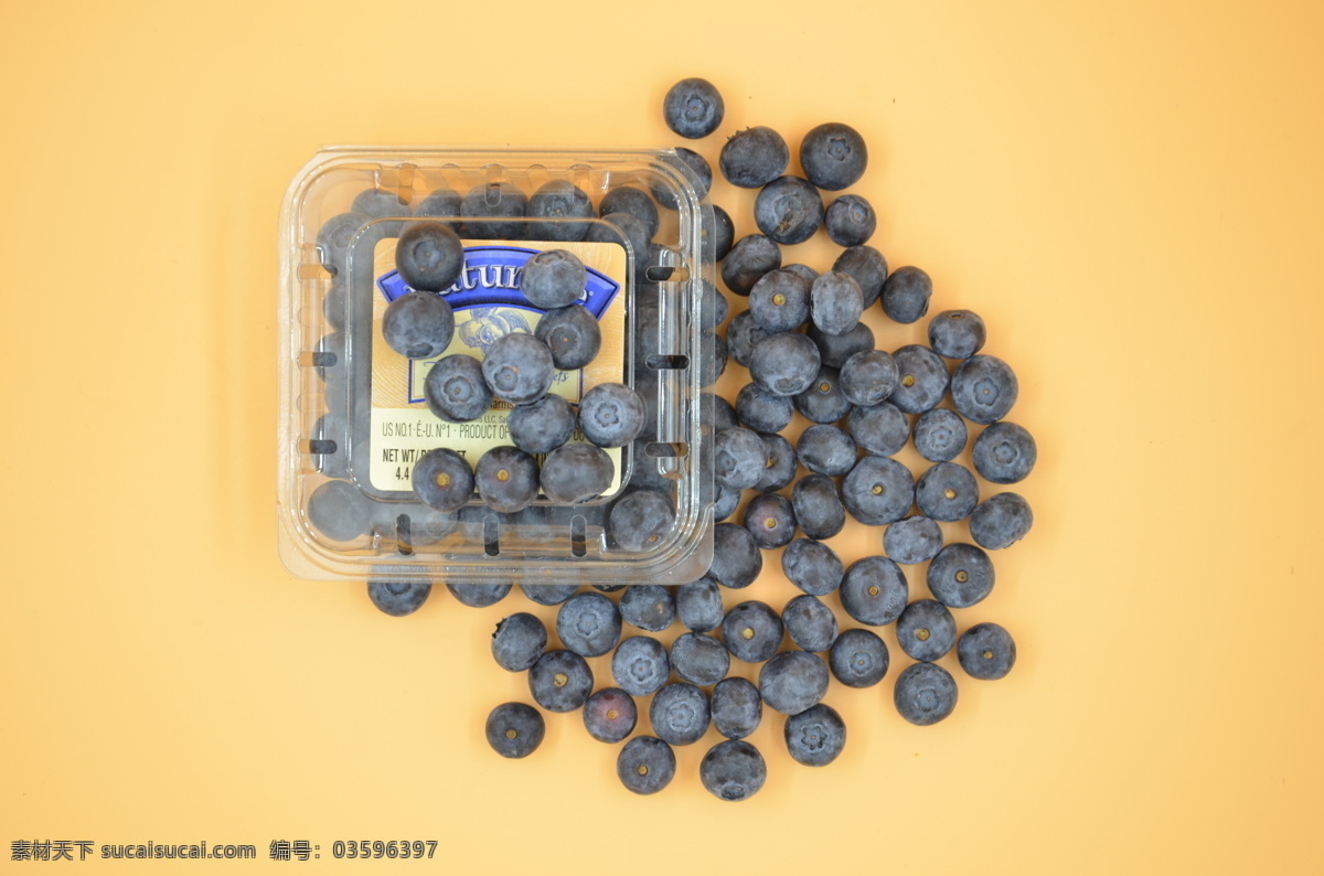 智利蓝莓 蓝莓 智利 进口水果 精品水果 水果 生物世界