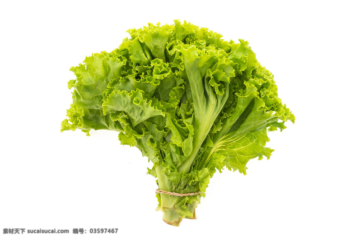 生菜 蔬菜 瓜果 瓜果蔬菜 蔬菜摄影 餐饮 食物原料 农业相关 拼盘 蔬菜拼盘 生物世界