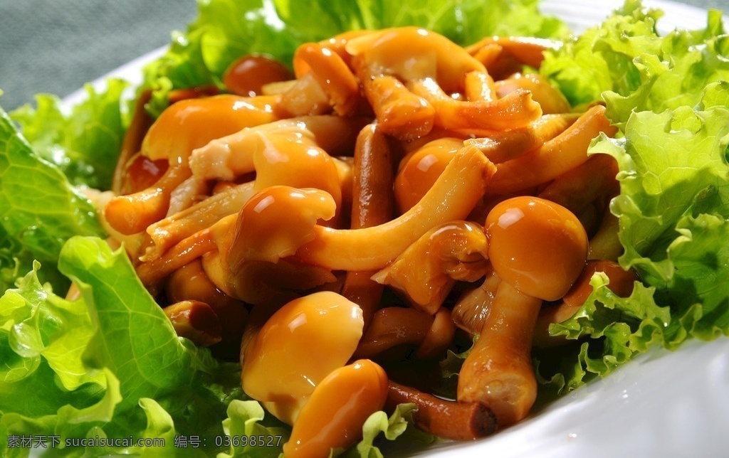 滑子菇 口蘑 蘑菇 鲜口菇 森林 双孢菇 蔬菜 食品 火锅菜 餐饮美食 传统美食