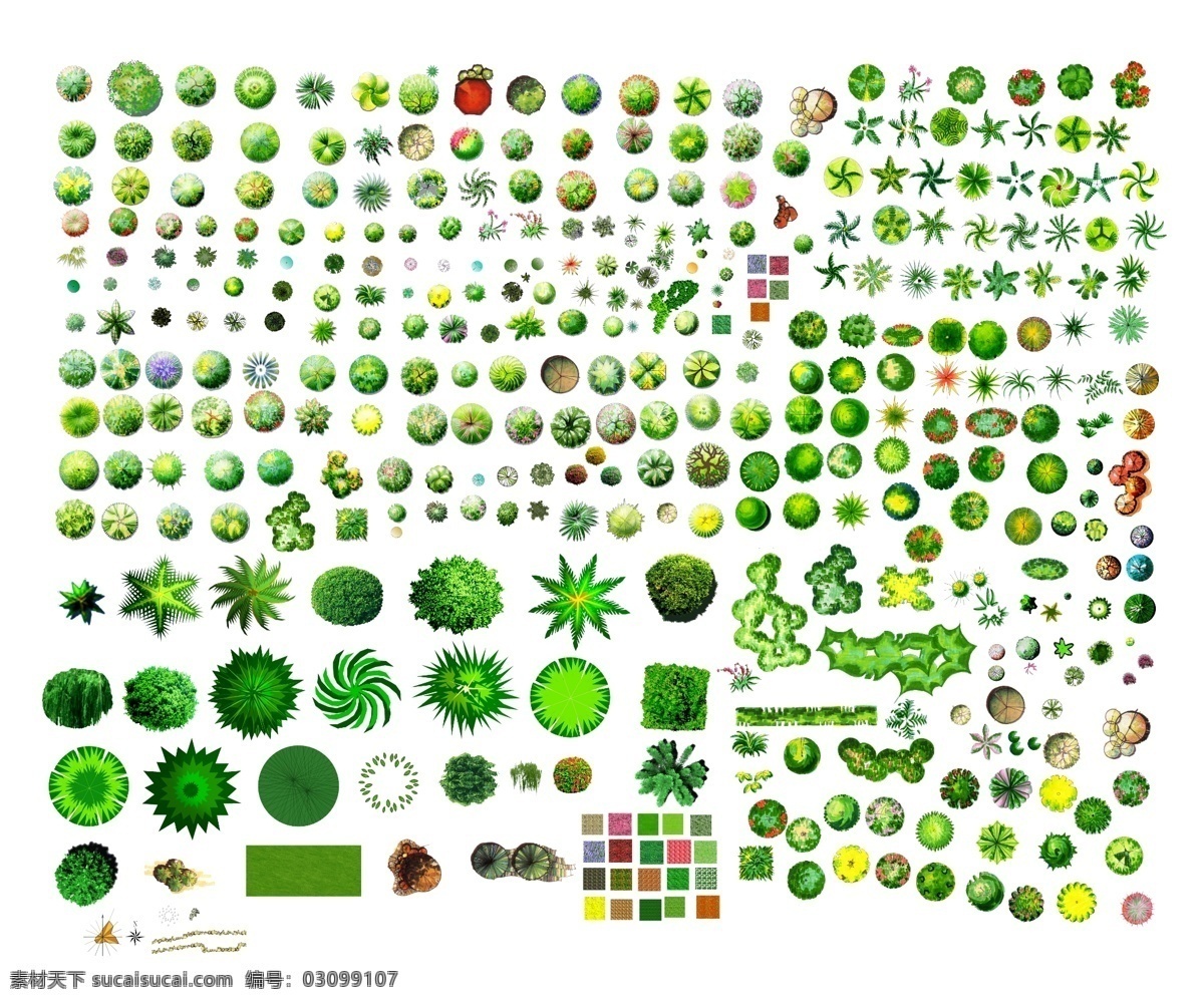 景观绿化图片 景观绿化 绿植 景观素材 彩平 规划