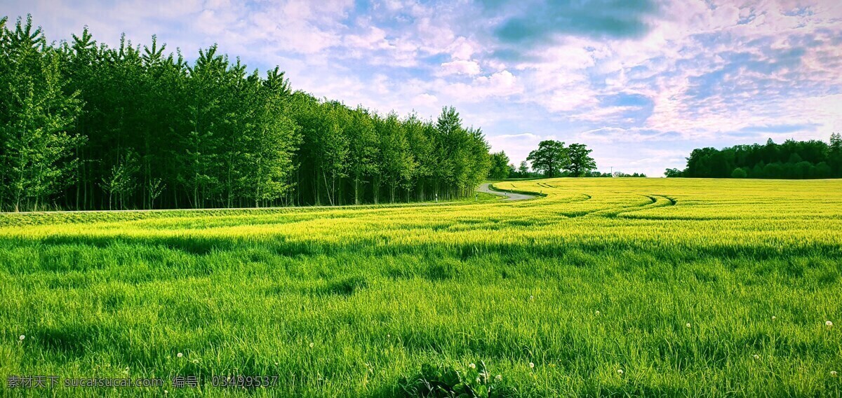 草原 天空 树林 景观 背景 壁纸 自然 海报 自然背景 环保 生态 云彩 白云 蓝天 渐变 草 草地 植物 蓝色 绿色 光 光线 光影 阳光 树木